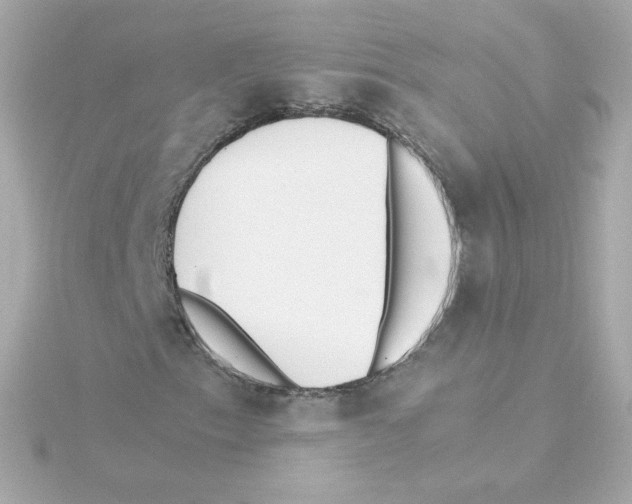 X0000115261153200911271920