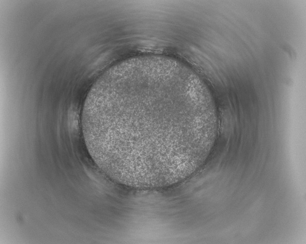 X0000115261154200911271920