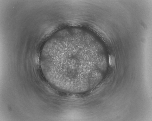 X0000115261155200911271920