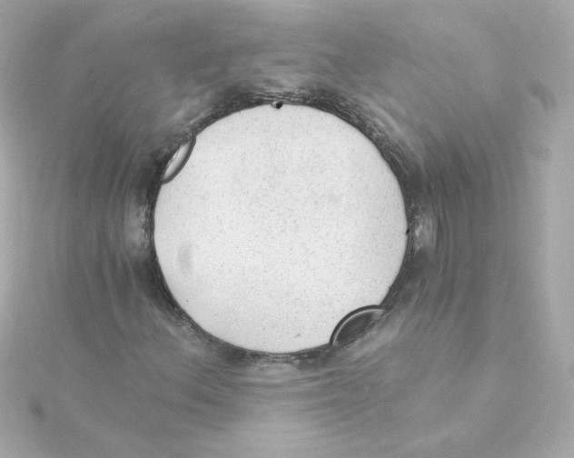 X0000115261156200911271920