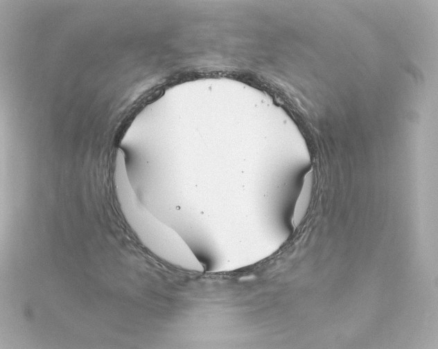 X0000115261157200911271920