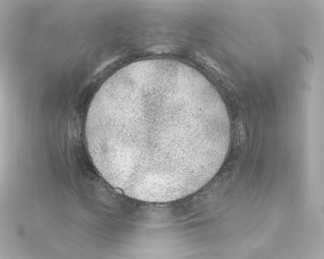 X0000115261158200911271920