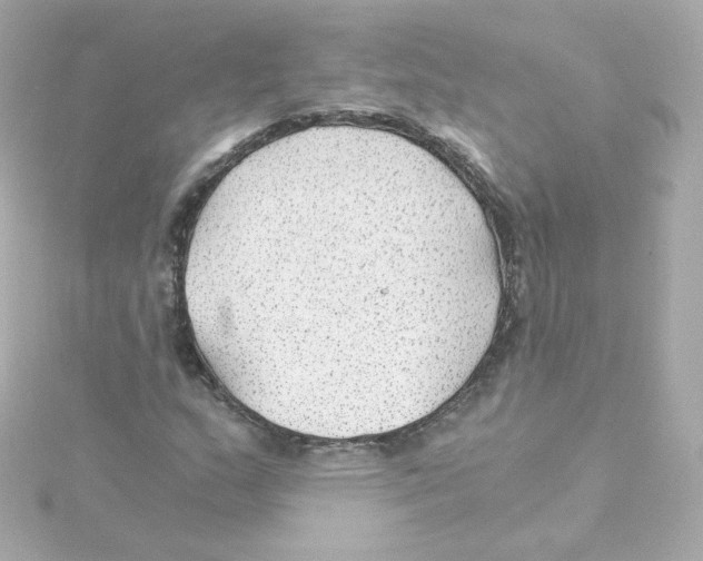 X0000115261159200911271920