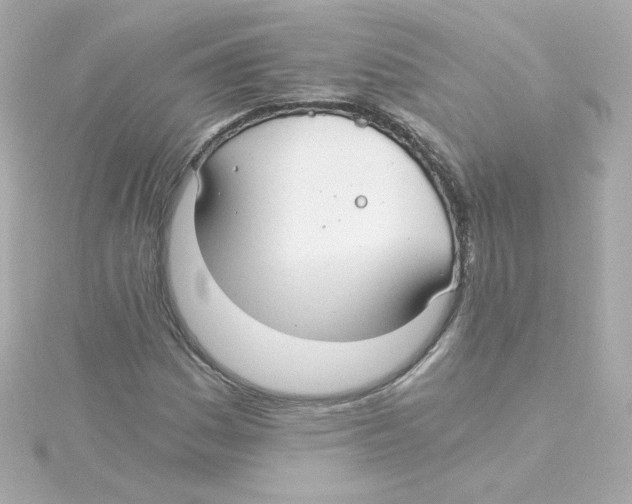 X0000115261161200911271920