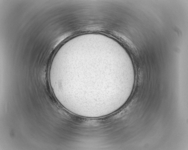 X0000115261162200911271920