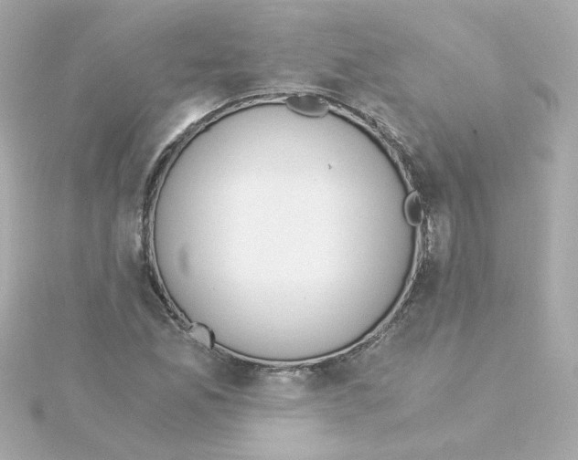 X0000115261165200911271920