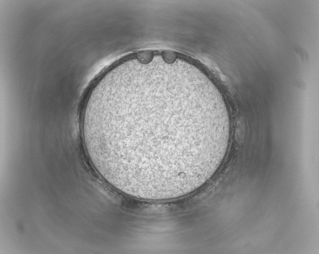 X0000115261167200911271920