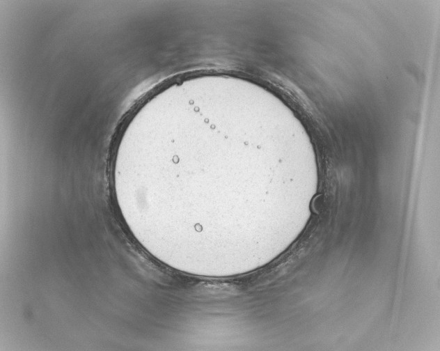 X0000115261168200911271920