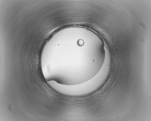 X0000115261169200911271920