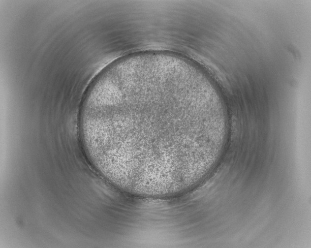 X0000115261170200911271920