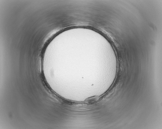 X0000115261171200911271919