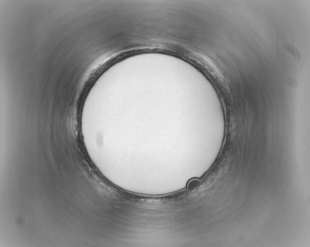 X0000115261172200911271919