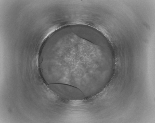 X0000115261173200911271919