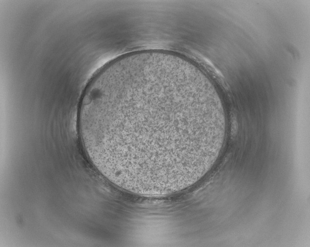 X0000115261174200911271919