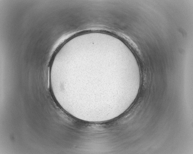 X0000115261175200911271919