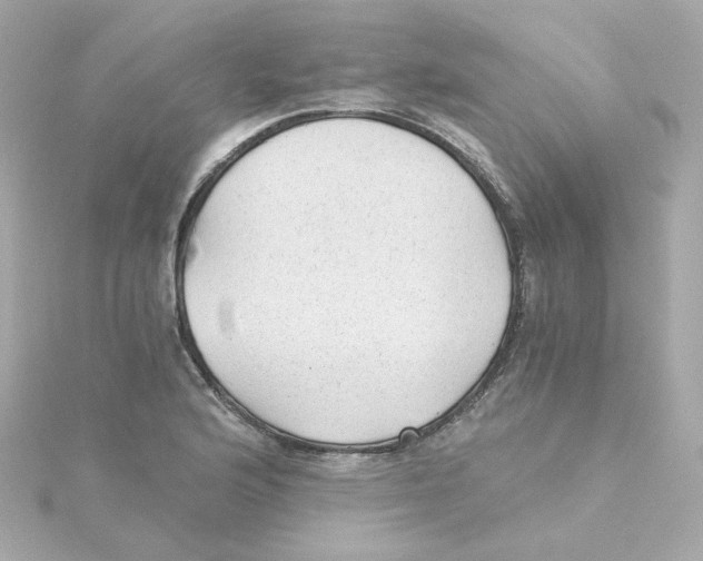 X0000115261176200911271919