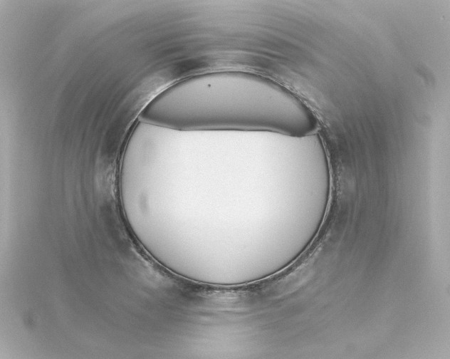 X0000115261177200911271919