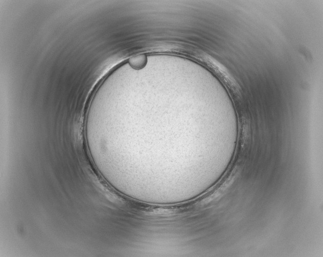 X0000115261178200911271919