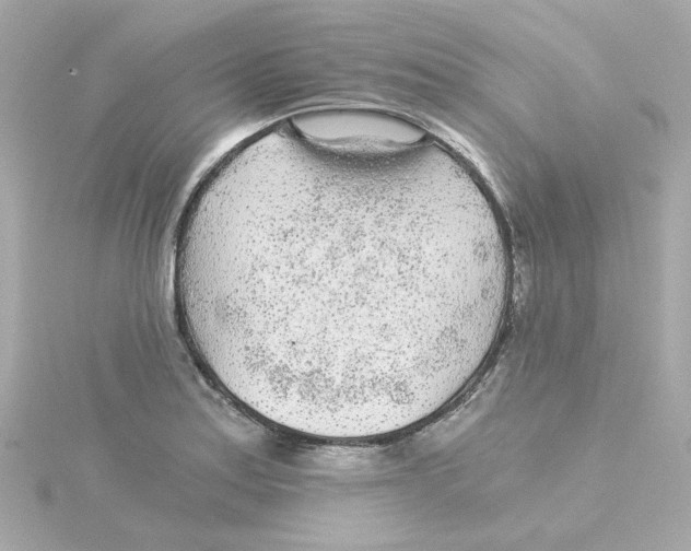 X0000115261179200911271919