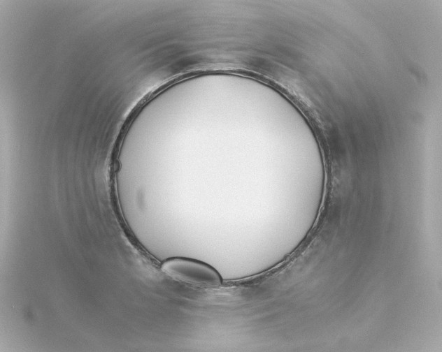 X0000115261181200911271919