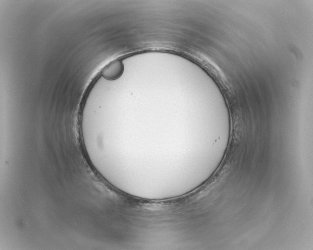 X0000115261182200911271919