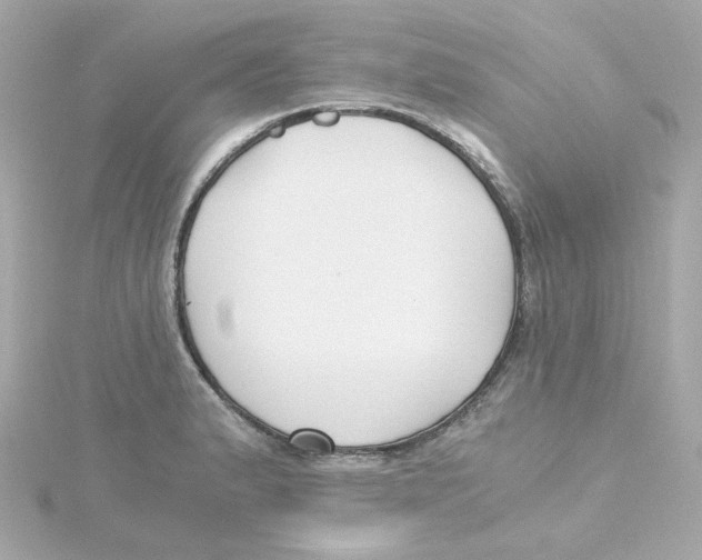 X0000115261183200911271919