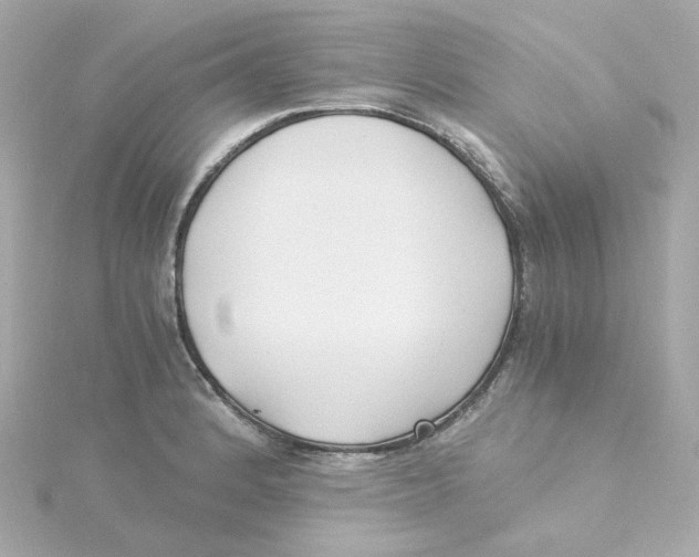 X0000115261184200911271919