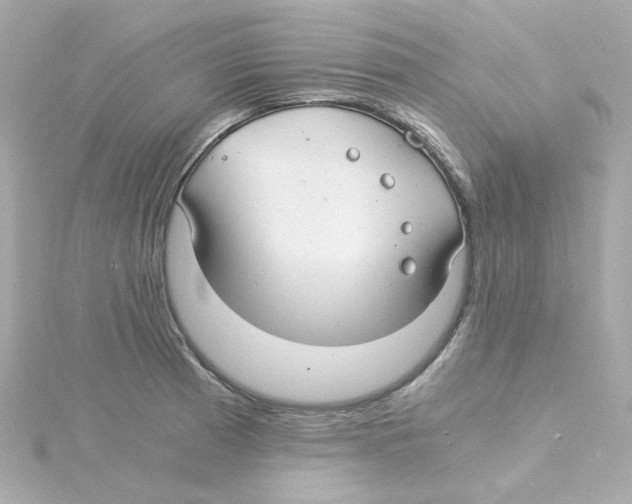 X0000115261185200911271919