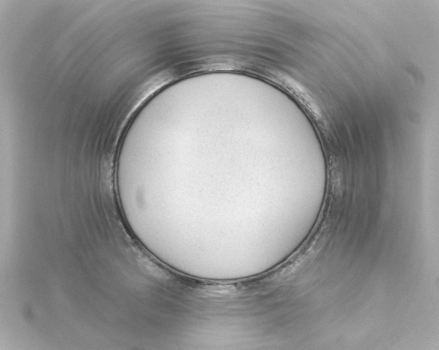 X0000115261186200911271919