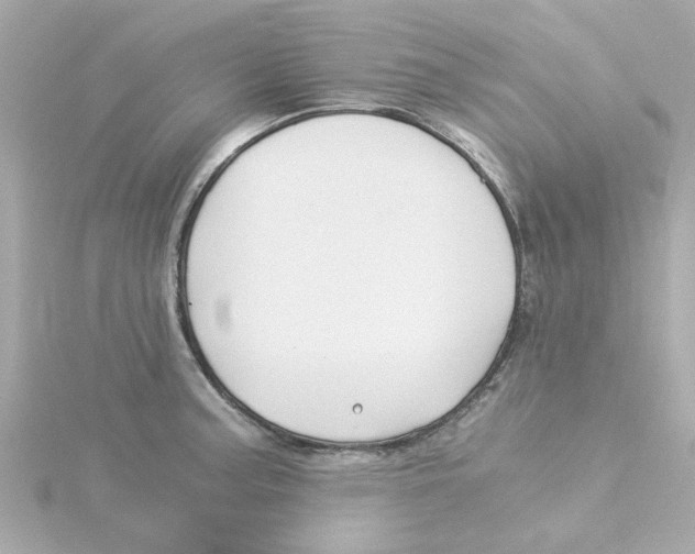 X0000115261187200911271919