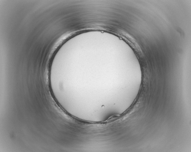 X0000115261188200911271919