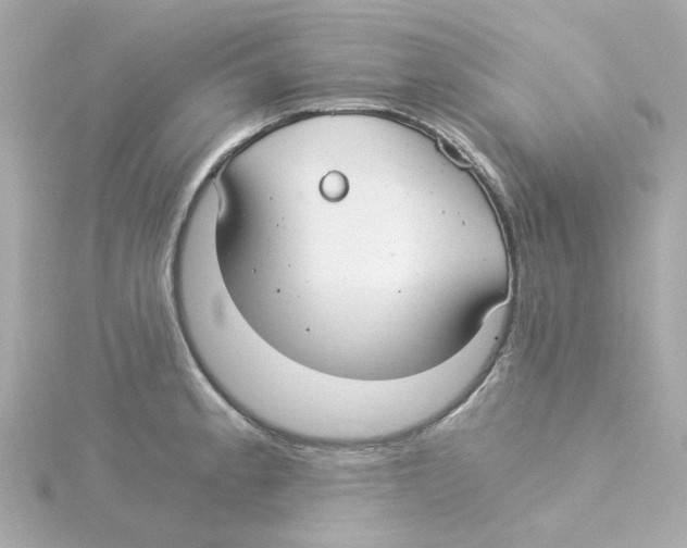 X0000115261189200911271919