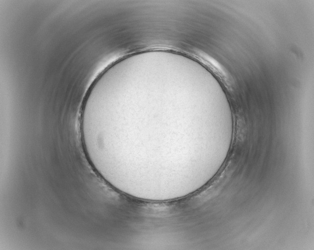 X0000115261190200911271919