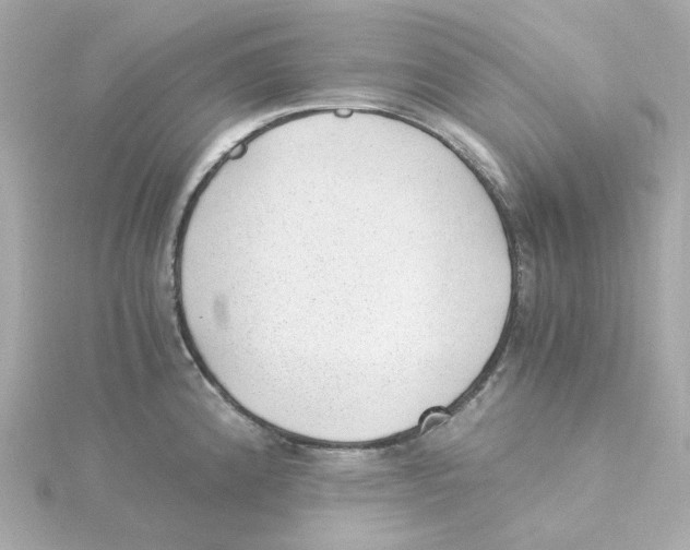 X0000115261192200911271919