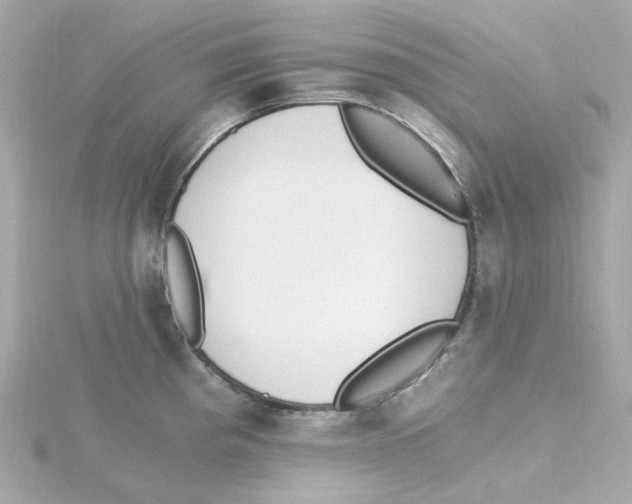 X0000115261193200911271919