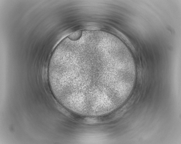 X0000115261194200911271919