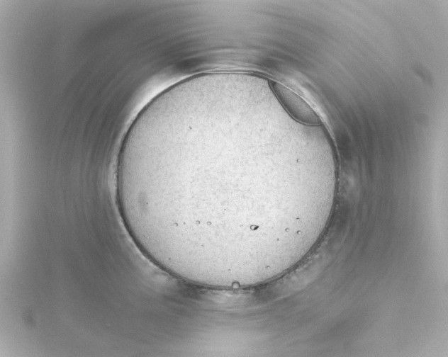 X0000115261195200911271919