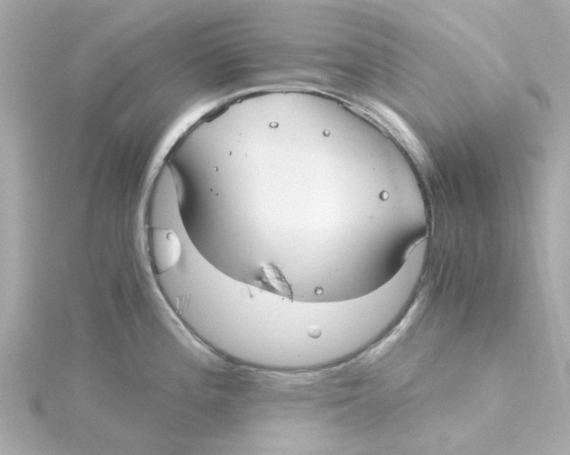 X0000115261196200911271919