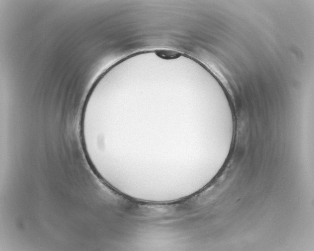 X0000115261197200911271919