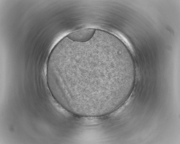 X0000115261198200911271919