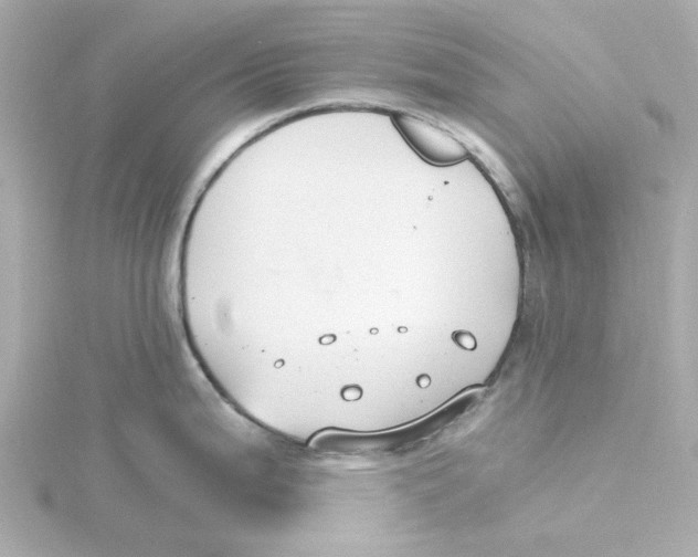 X0000115261199200911271919