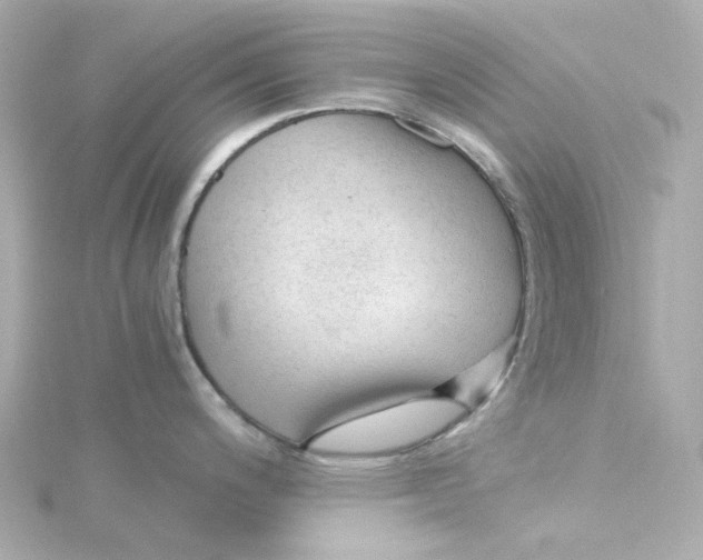 X0000115261200200911271919