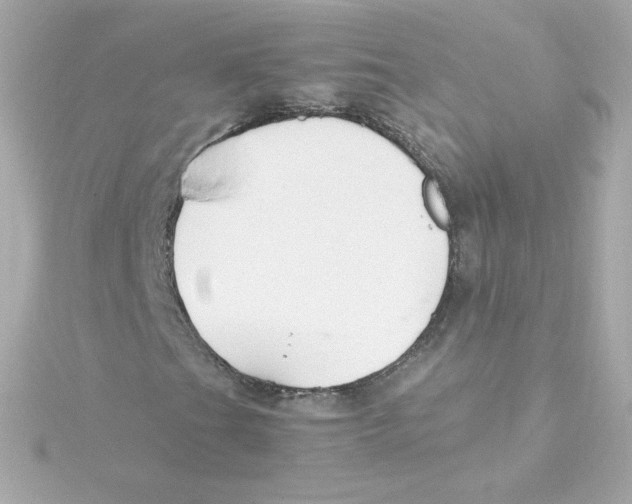 X0000115261201200911271919