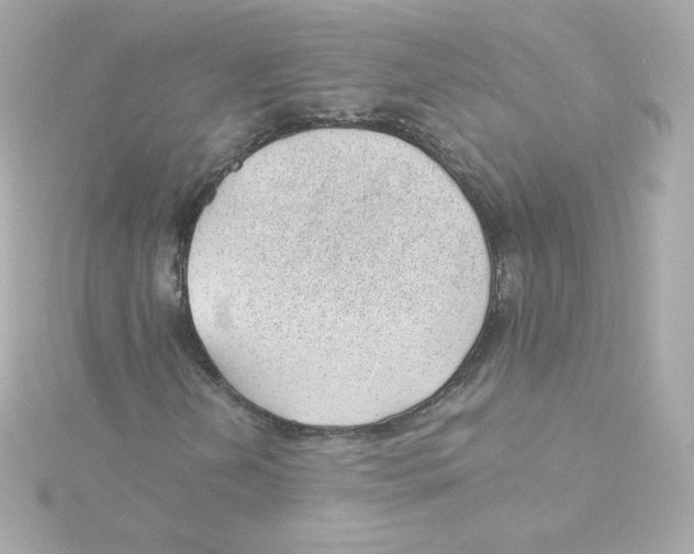 X0000115261202200911271919