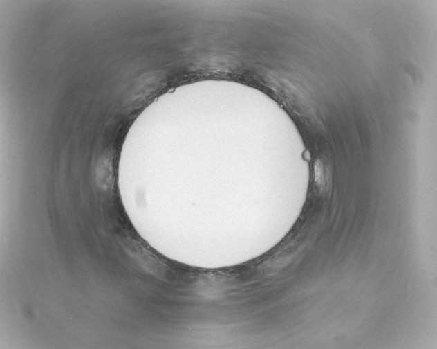 X0000115261203200911271919