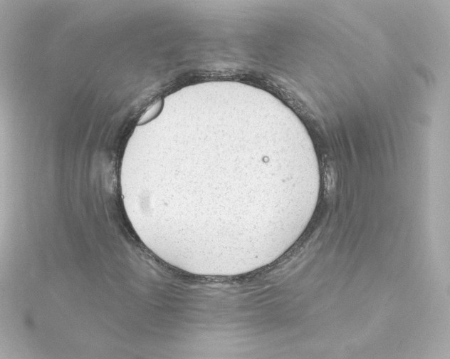 X0000115261204200911271919