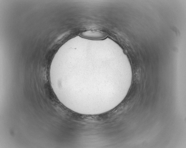 X0000115261205200911271919