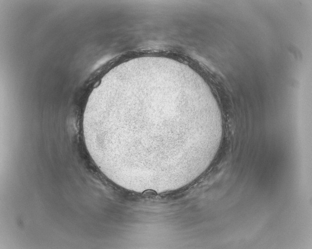 X0000115261206200911271919