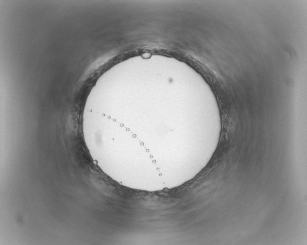 X0000115261207200911271919