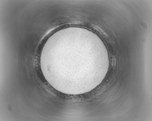 X0000115261208200911271919